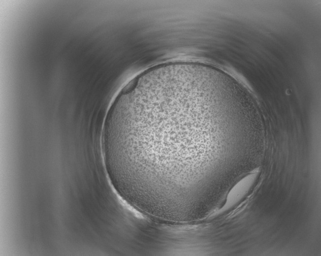 X0000052541247200507152124