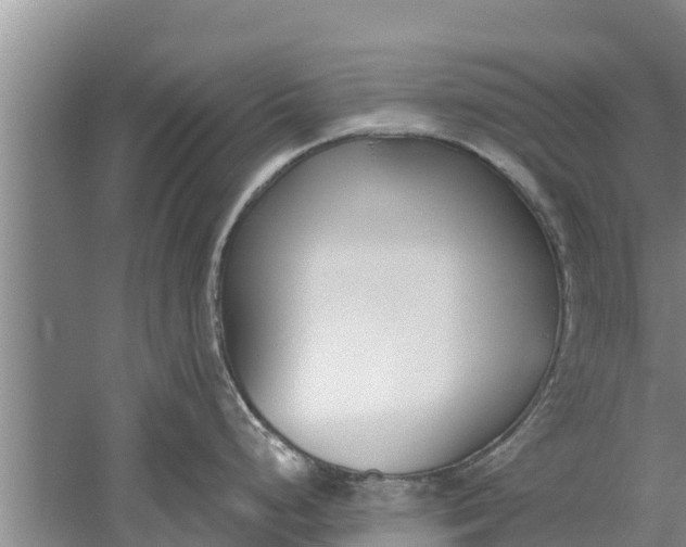 X0000052541248200507152124