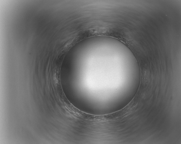 X0000052541250200507152124