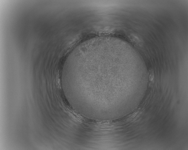 X0000052541252200507152124