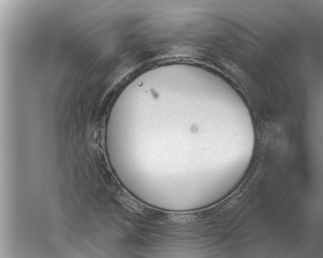 X0000052541258200507152123