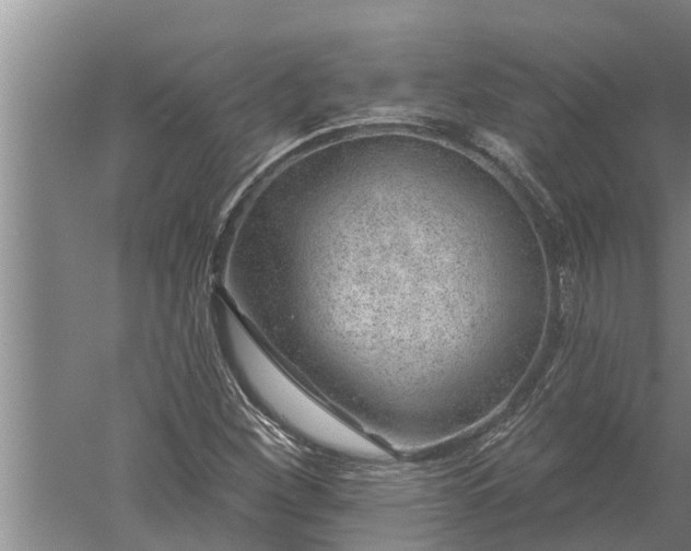 X0000052541260200507152123