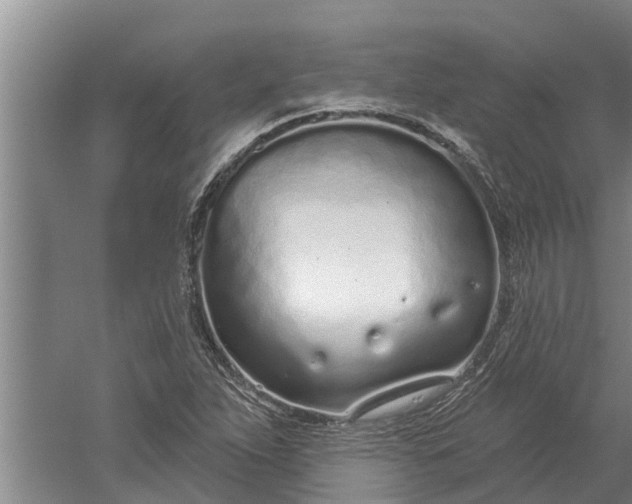 X0000052541263200507152123