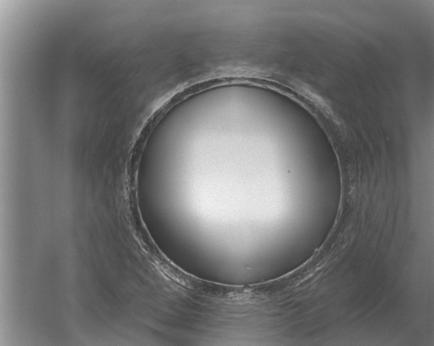 X0000052541264200507152123