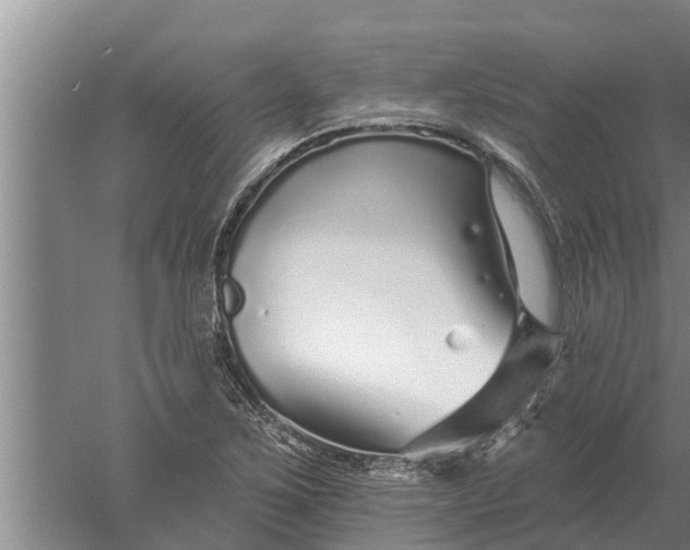 X0000052541267200507152123