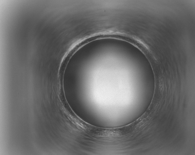 X0000052541270200507152123