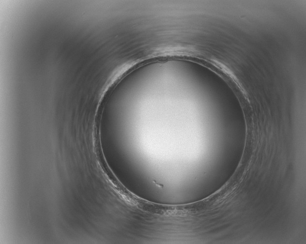 X0000052541277200507152123