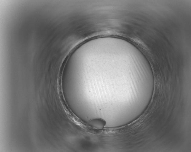 X0000052541278200507152123