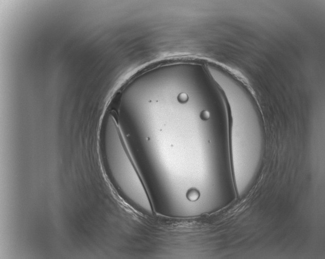 X0000052541279200507152123