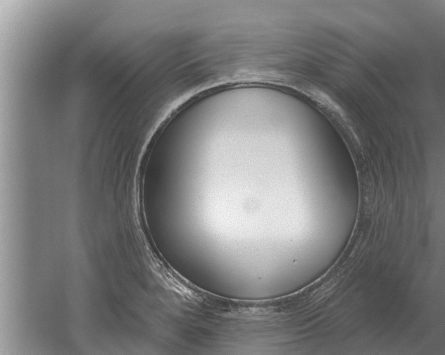 X0000052541280200507152123