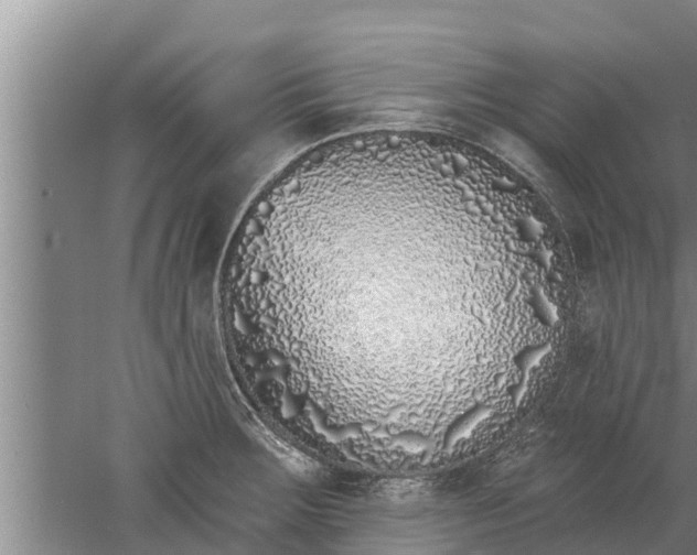 X0000052541283200507152123