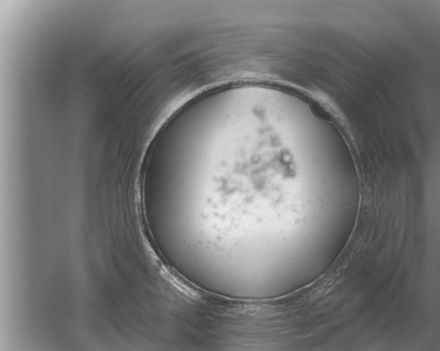 X0000052541287200507152123