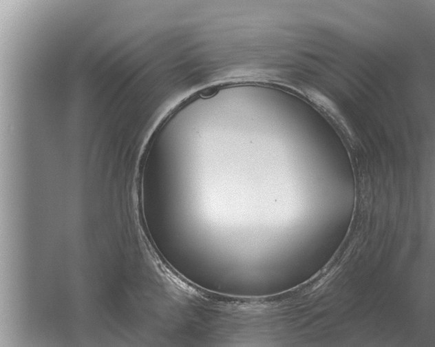 X0000052541288200507152123