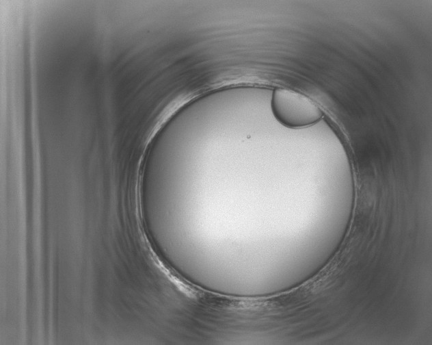 X0000052541290200507152123