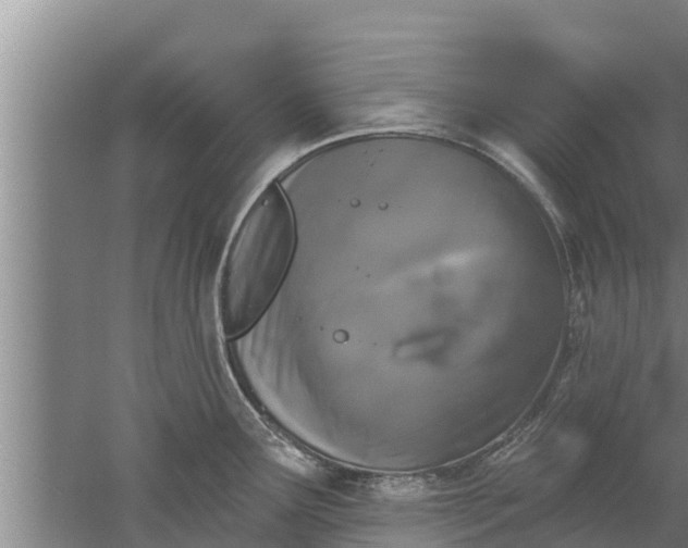 X0000052541291200507152123