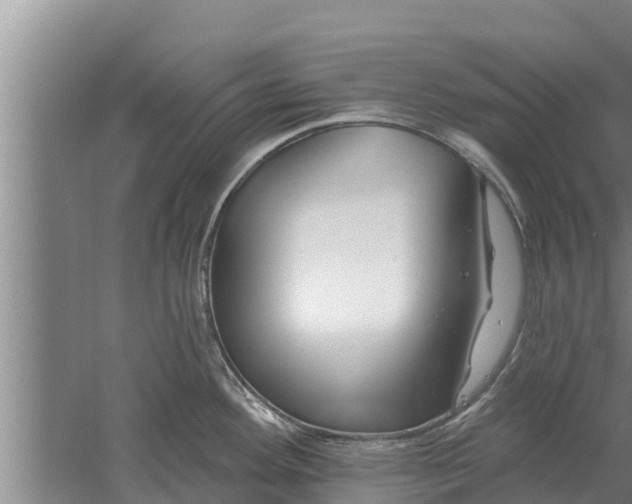 X0000052541292200507152123