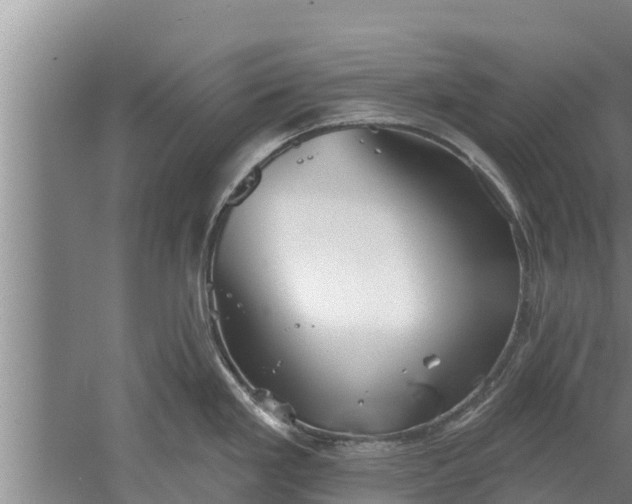 X0000052541293200507152123