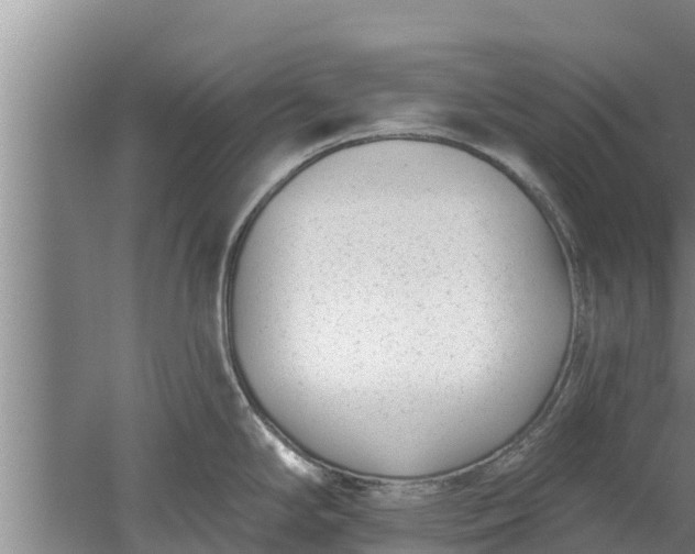 X0000052541294200507152123