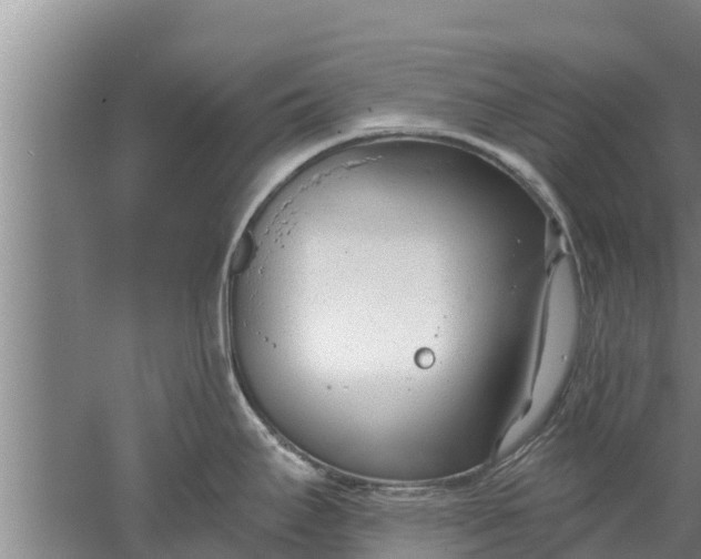 X0000052541295200507152123