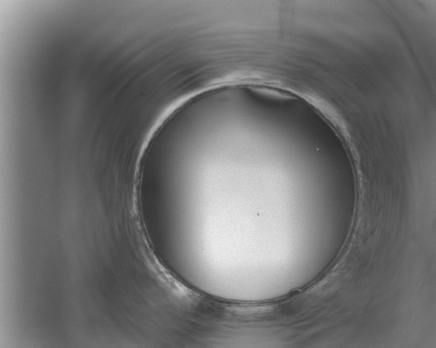 X0000052541296200507152123