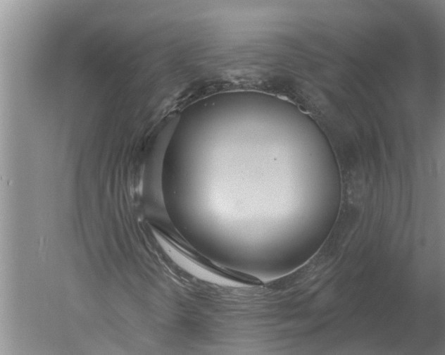 X0000052541298200507152122