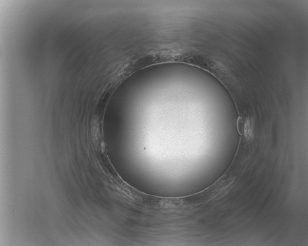 X0000052541299200507152122