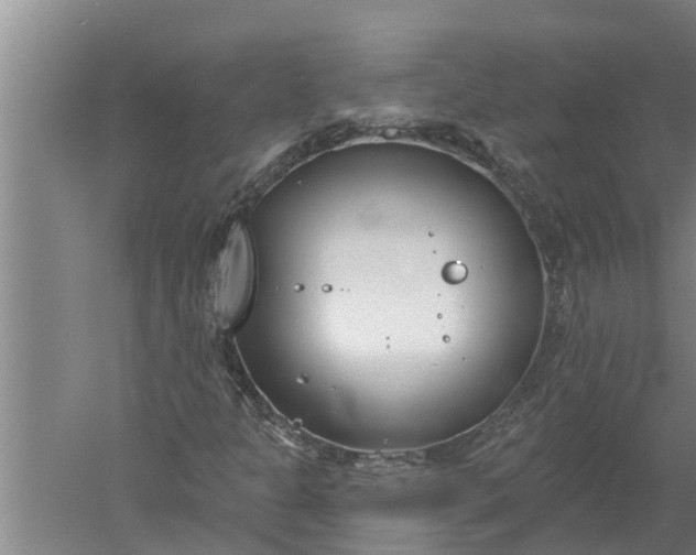 X0000052541301200507152122