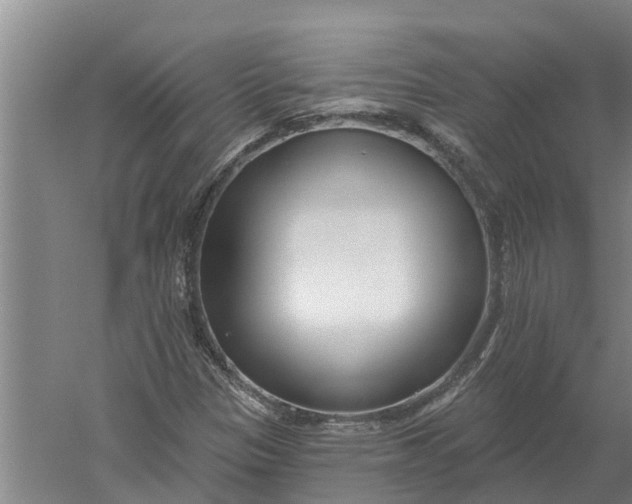 X0000052541305200507152122