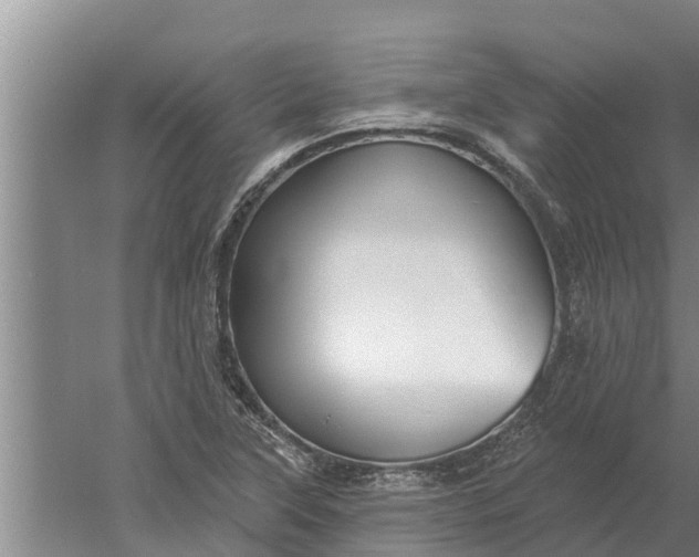 X0000052541315200507152122