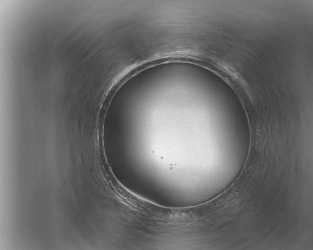 X0000052541316200507152122