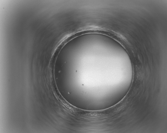 X0000052541318200507152122