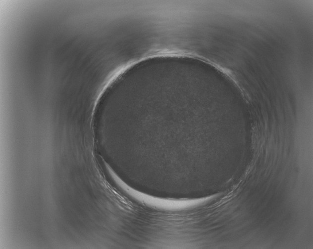 X0000052541319200507152122