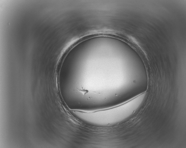 X0000052541320200507152122