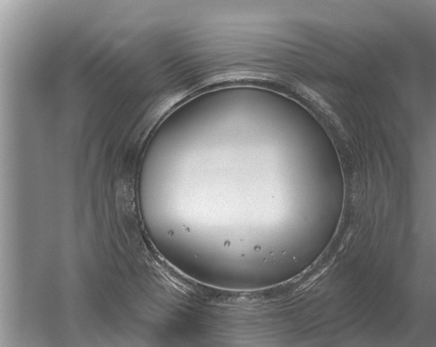 X0000052541321200507152122