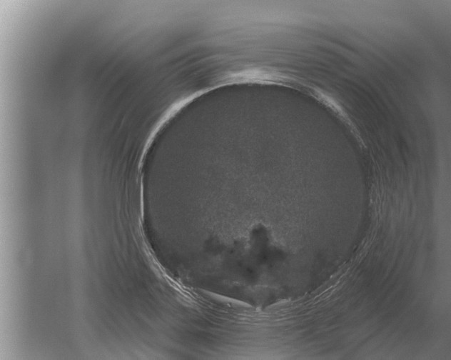 X0000052541323200507152122