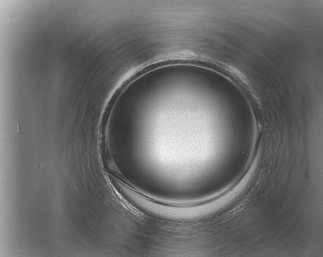 X0000052541326200507152122