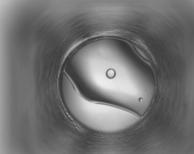 X0000052541328200507152122