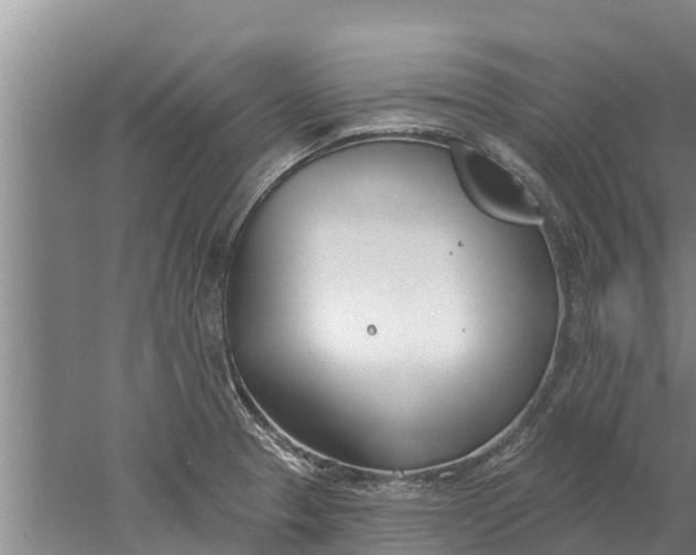 X0000052541329200507152122