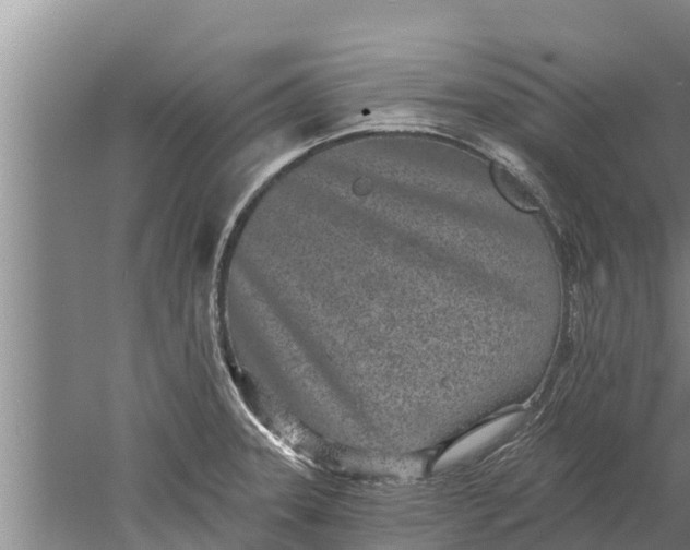 X0000052541331200507152123