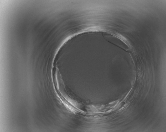 X0000052541334200507152123