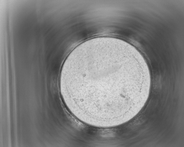 X0000052541338200507152123