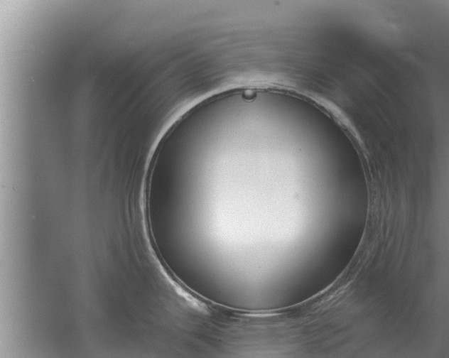 X0000052541343200507152123