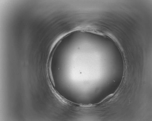 X0000052541344200507152123