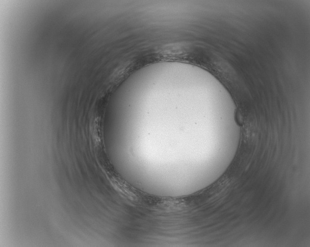 X0000052541346200507152122