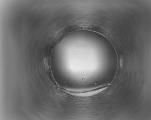 X0000052541347200507152122