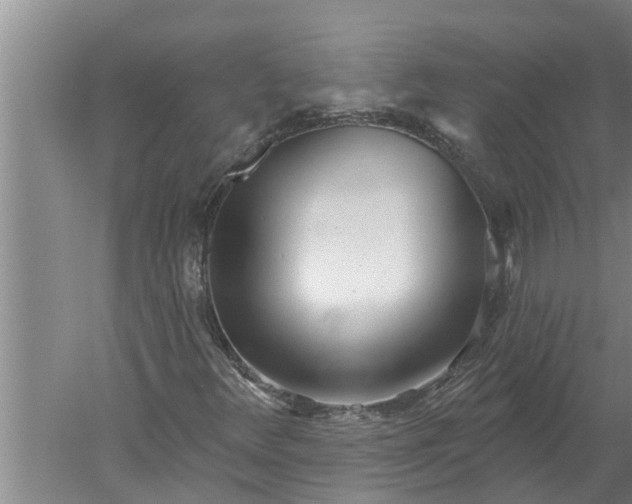 X0000052541348200507152122