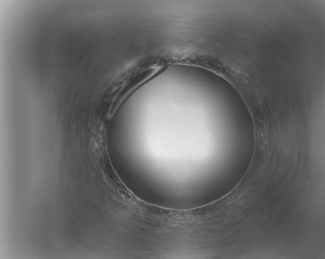 X0000052541349200507152122