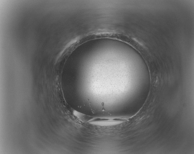 X0000052541351200507152122