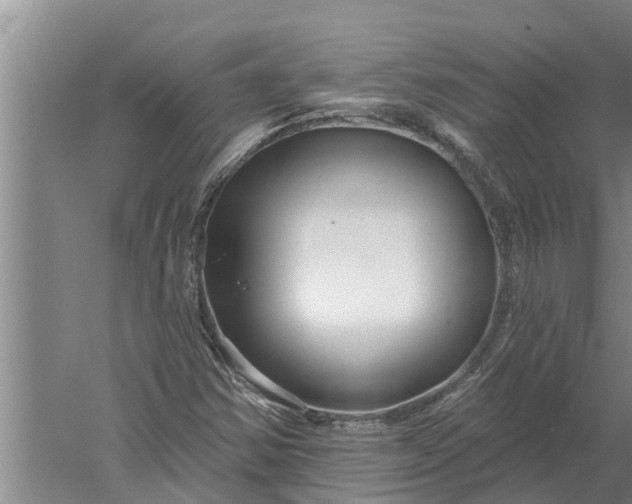 X0000052541354200507152122