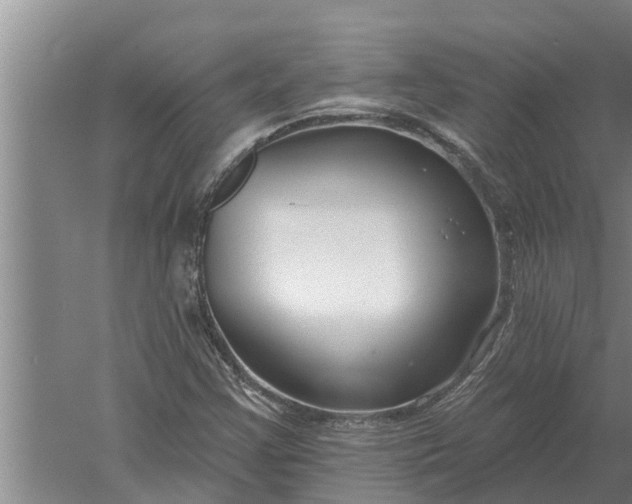 X0000052541355200507152122